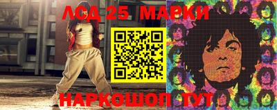 шишки Боровичи