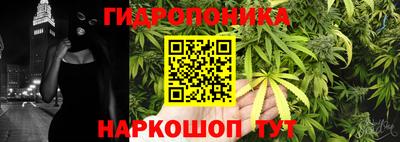 шишки Боровичи