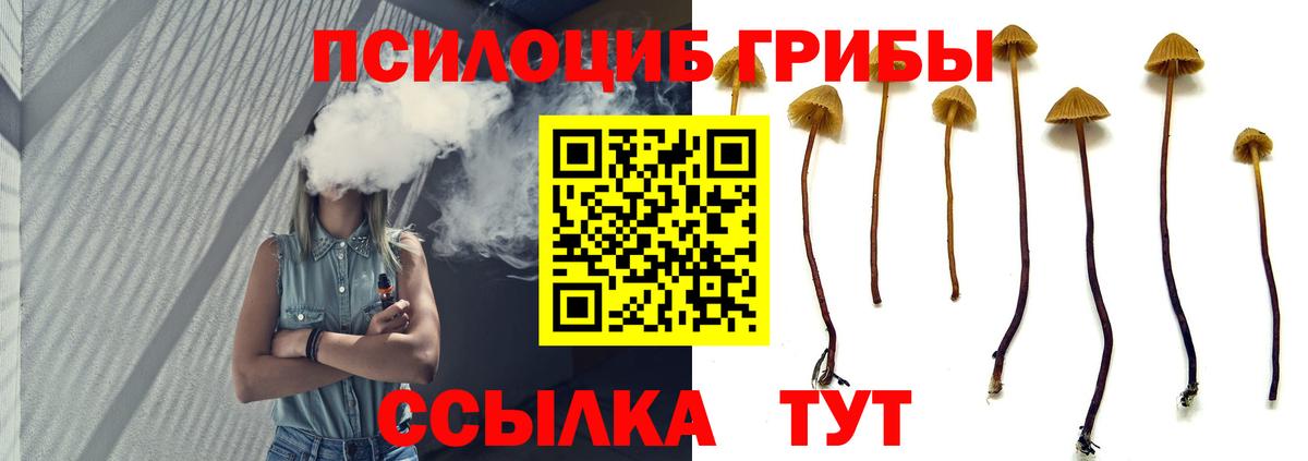 купить закладку  Вход с VPN  Губаха  Галлюциногенные грибы MAGIC MUSHROOMS 